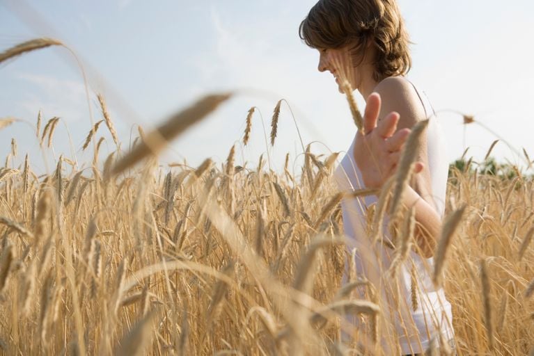 Faut-il bannir le gluten?