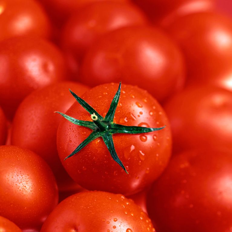 Des aliments contre les UV