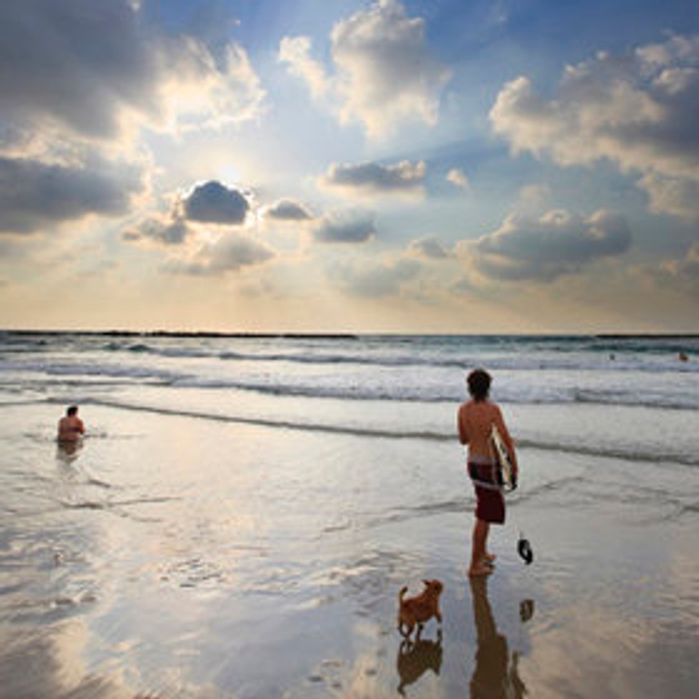 Terre d'Israël : Terre méconnue