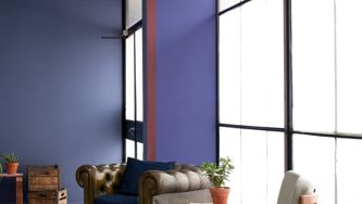 Déco: la couleur la plus tendance de l'heure?