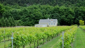 Estrie et Montérégie : balade dans les vignobles