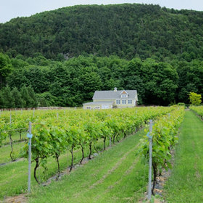 Estrie et Montérégie : balade dans les vignobles