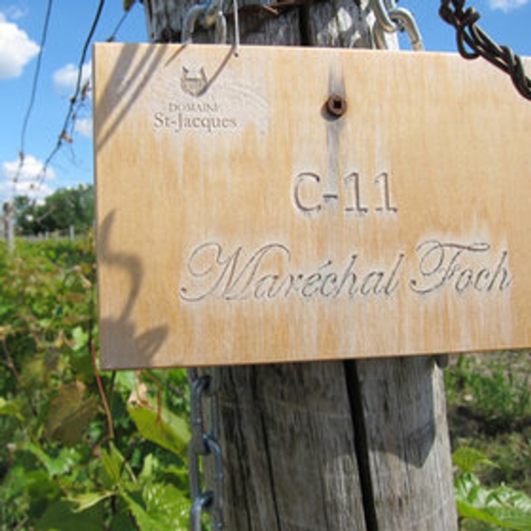Estrie et Montérégie : balade dans les vignobles