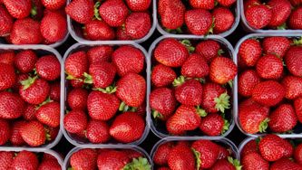 Beurre de fraises et basilic