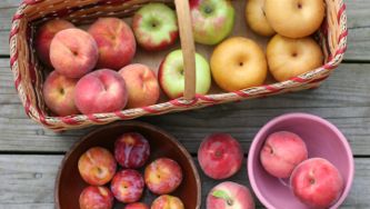 Fruits grillés