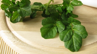Salade de cresson parfumée au sherry