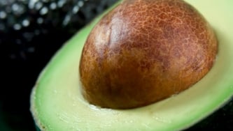 Shooter d'avocat à l'Orangina