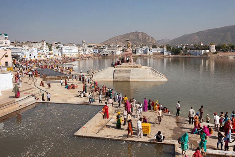 Inde : la foire aux chameaux de Pushkar