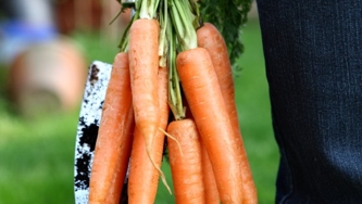 Dans le jardin comme dans la cuisine du chef Matt Wilkinson