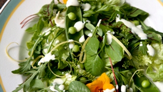 Salade fraîcheur