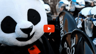 Vidéos et tweets de la semaine