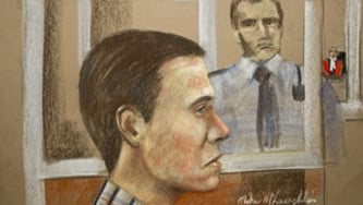Luka Rocco Magnotta est-il criminellement responsable?