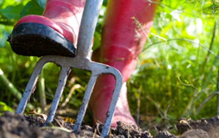 Préparez votre jardin!