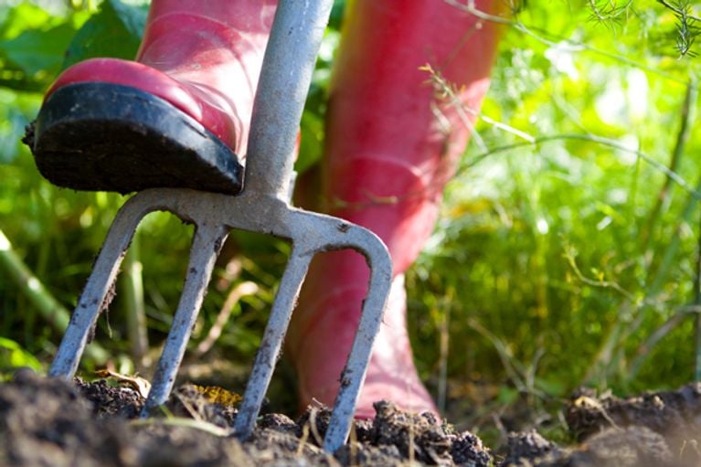 Préparez votre jardin!