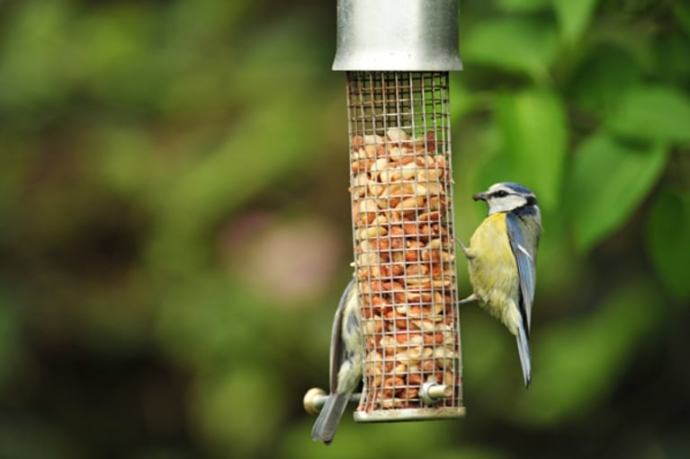 Préparez votre jardin!
