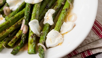 Asperges grillées et mozzarella de bufflonne