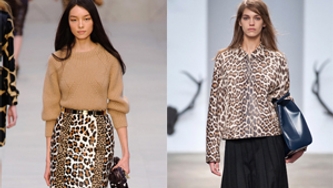 Mon inspiration du mois : l’imprimé animalier