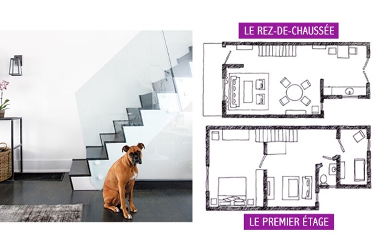 Voir grand