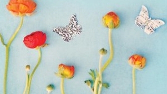 L'empreinte de toute chose d'Elizabeth Gilbert