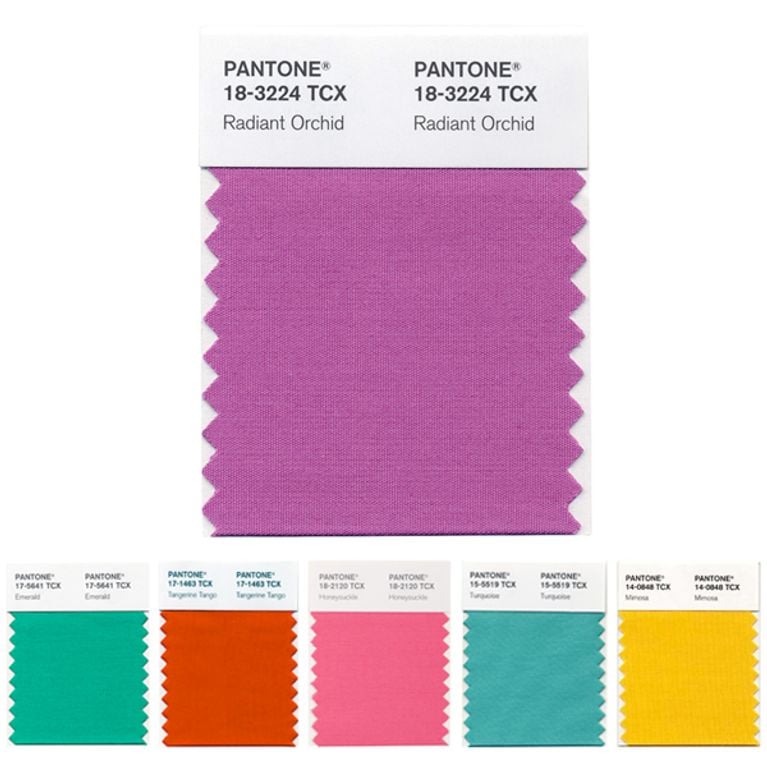 Orchidée radieuse, la couleur Pantone de l’année