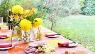 Shopping : réception au jardin