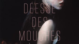 La déesse des mouches à feu, de Geneviève Pettersen