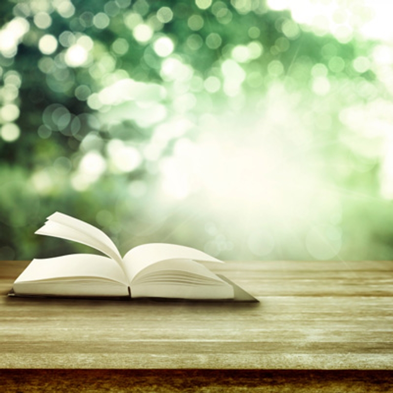 Nos livres marquants : les choix de l'équipe