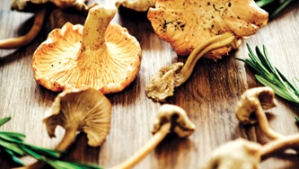 Tendance de l'heure: les saveurs boréales