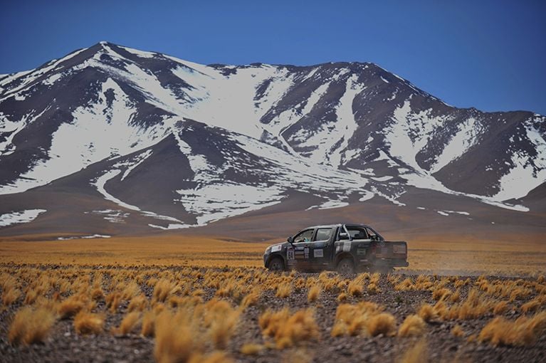 Roses des Andes: la fin d’une incroyable aventure