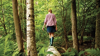 Se ressourcer en forêt