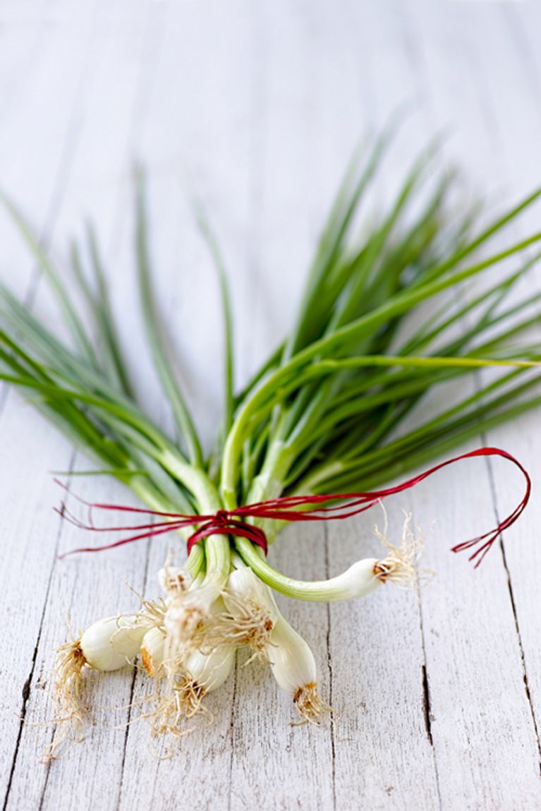 Comment mettre fin au gaspillage alimentaire?