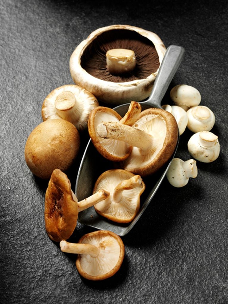 Comment mettre fin au gaspillage alimentaire?