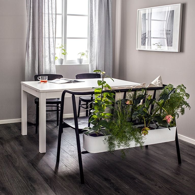 5 façons originales de rafraichir son intérieur avec des plantes