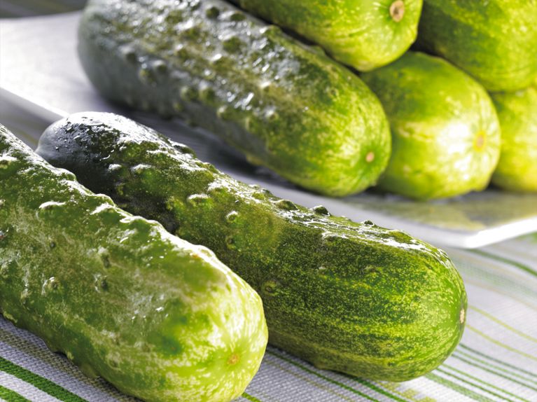 Cornichons à l'aneth de Preservation Society