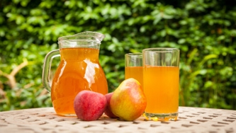Kéfir de fruits de l'Académie végétale