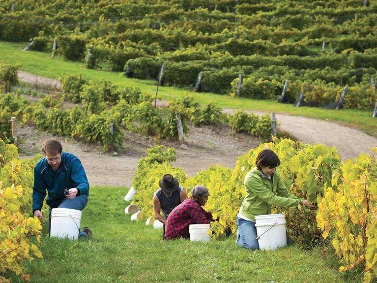 Nouveautés gourmandes de l'automne