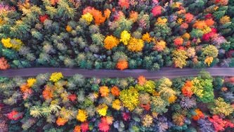 L'automne à travers le monde : des photos qui font rêver