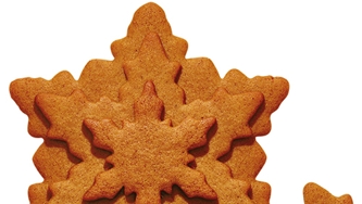 Biscuits en pain d’épices