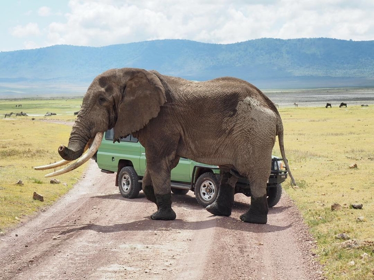 20 comptes Instagram de voyage qui font rêver