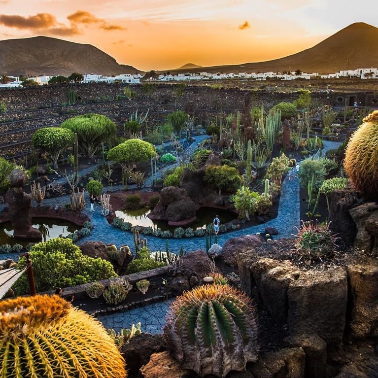 Voyage: les plus beaux jardins du monde
