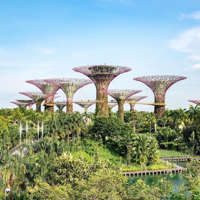 Voyage: les plus beaux jardins du monde