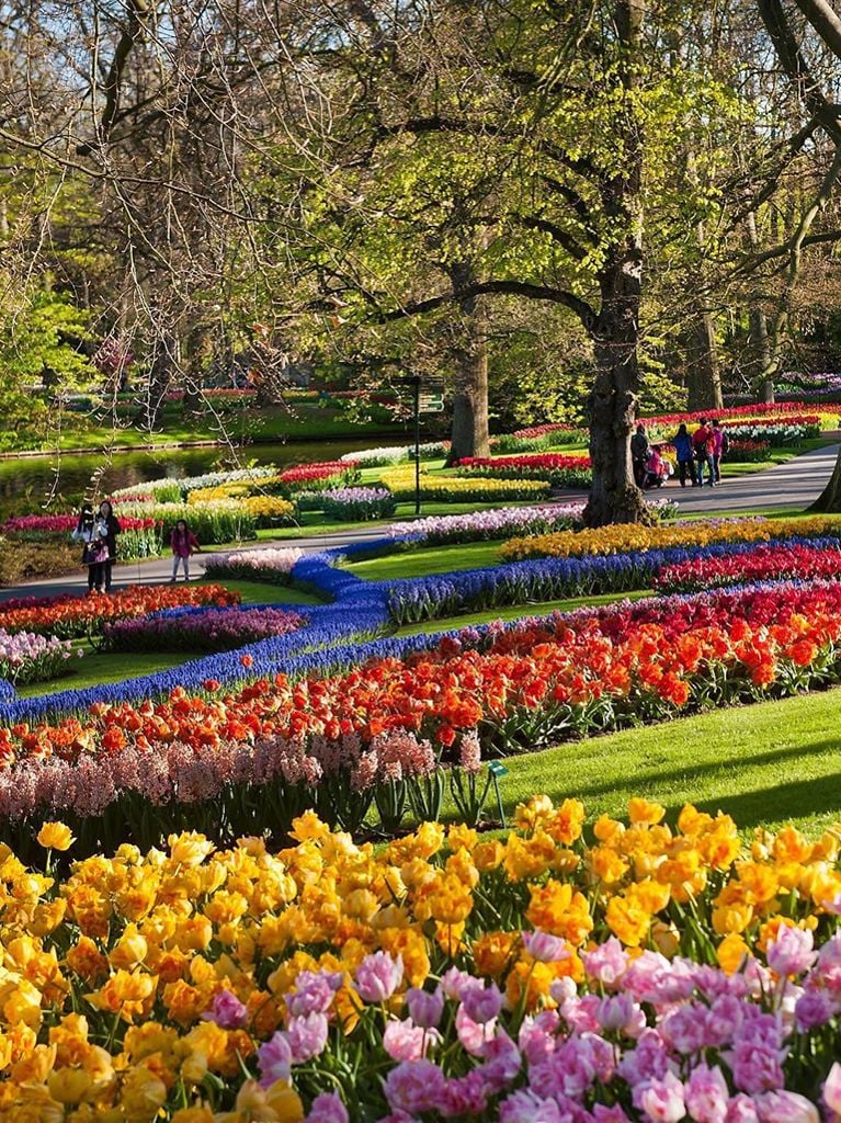 Voyage: les plus beaux jardins du monde