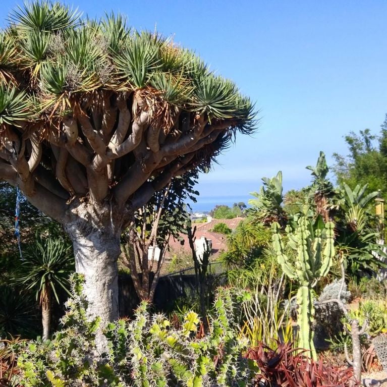 Voyage: les plus beaux jardins du monde