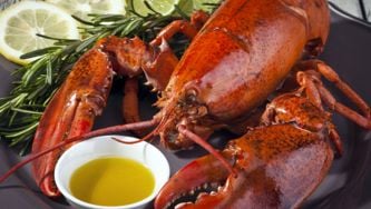 Homard aux agrumes