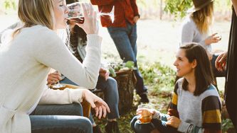 10 alcools de pomme et de poire