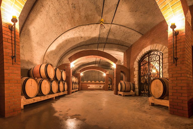 15 vignobles à visiter au Québec