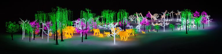 Illumi, le spectacle tout en lumières de Cavalia