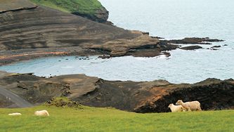 Voyage: à la découverte de l’Islande
