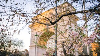 Le roman Lettres de Washington Square: de lourds secrets de famille