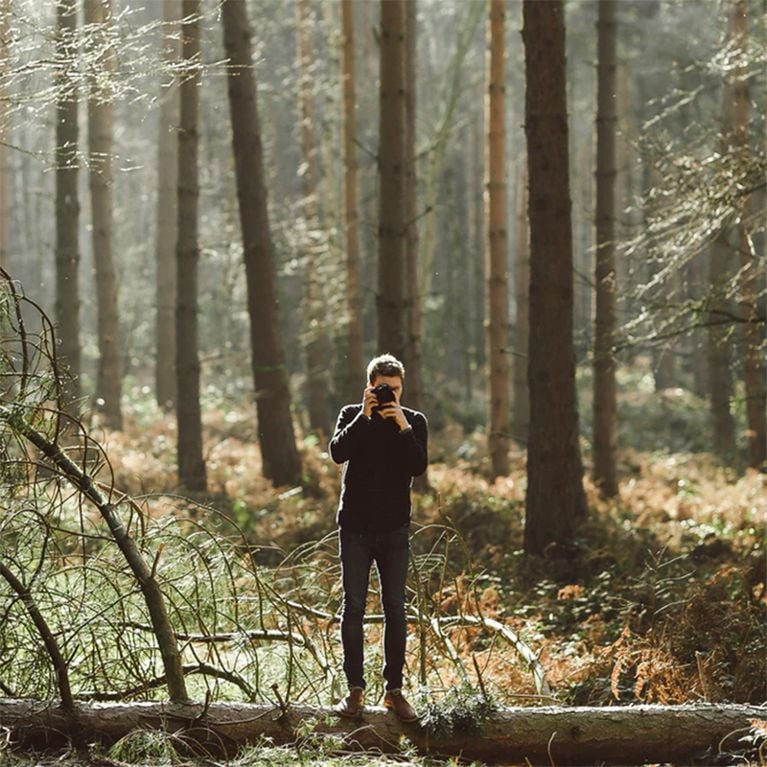 36 photos qui donnent envie de partir dans le bois